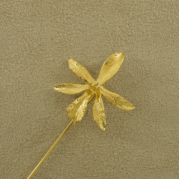 Pin de Alfiler de Orquídea Epidendrum Estrella