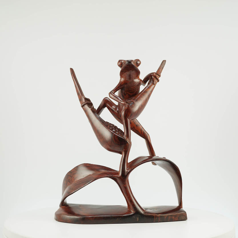 Rana de Cocobolo - Reprosa Panamá