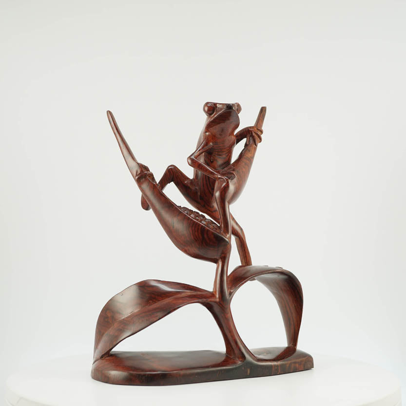 Rana de Cocobolo - Reprosa Panamá