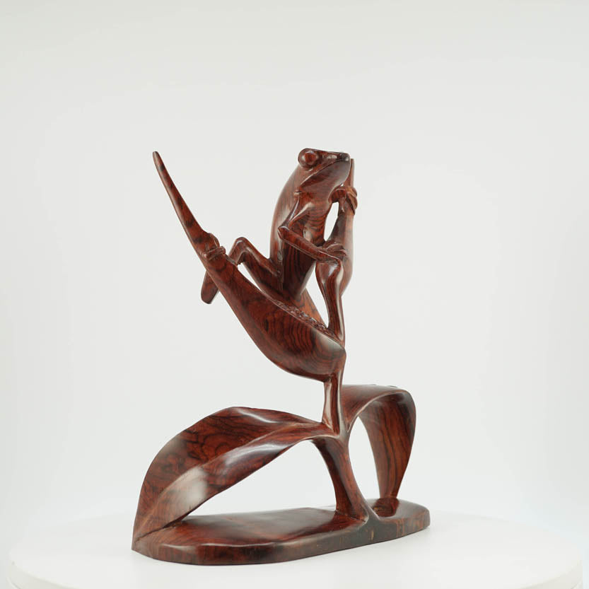 Rana de Cocobolo - Reprosa Panamá