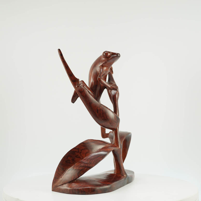 Rana de Cocobolo - Reprosa Panamá