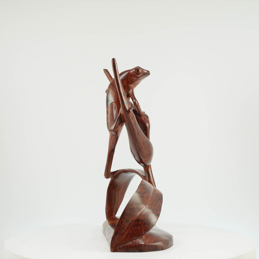 Rana de Cocobolo - Reprosa Panamá