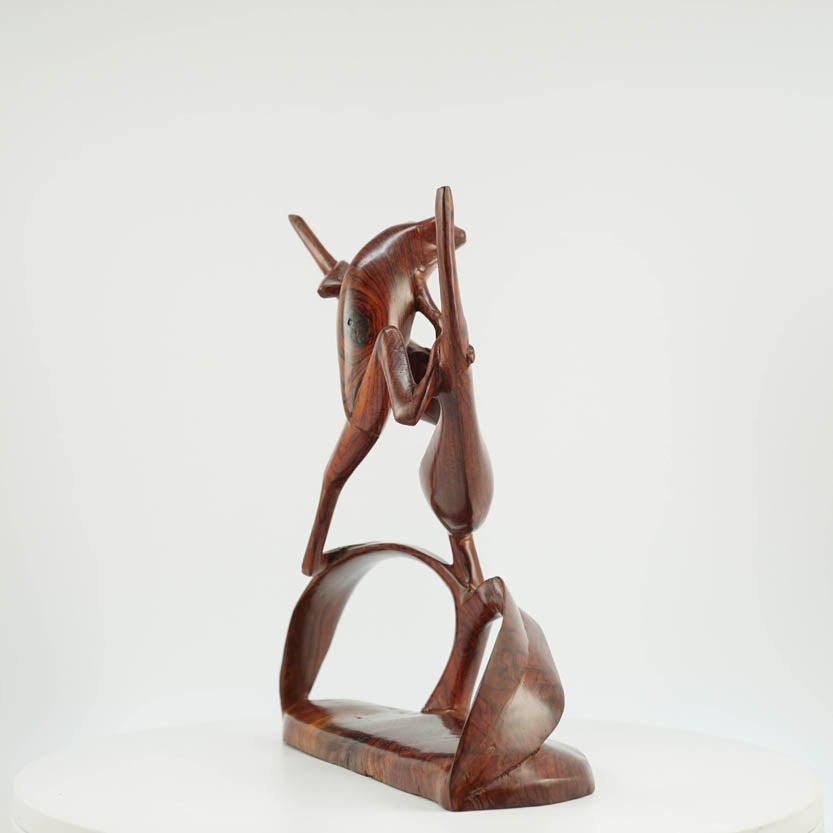 Rana de Cocobolo - Reprosa Panamá