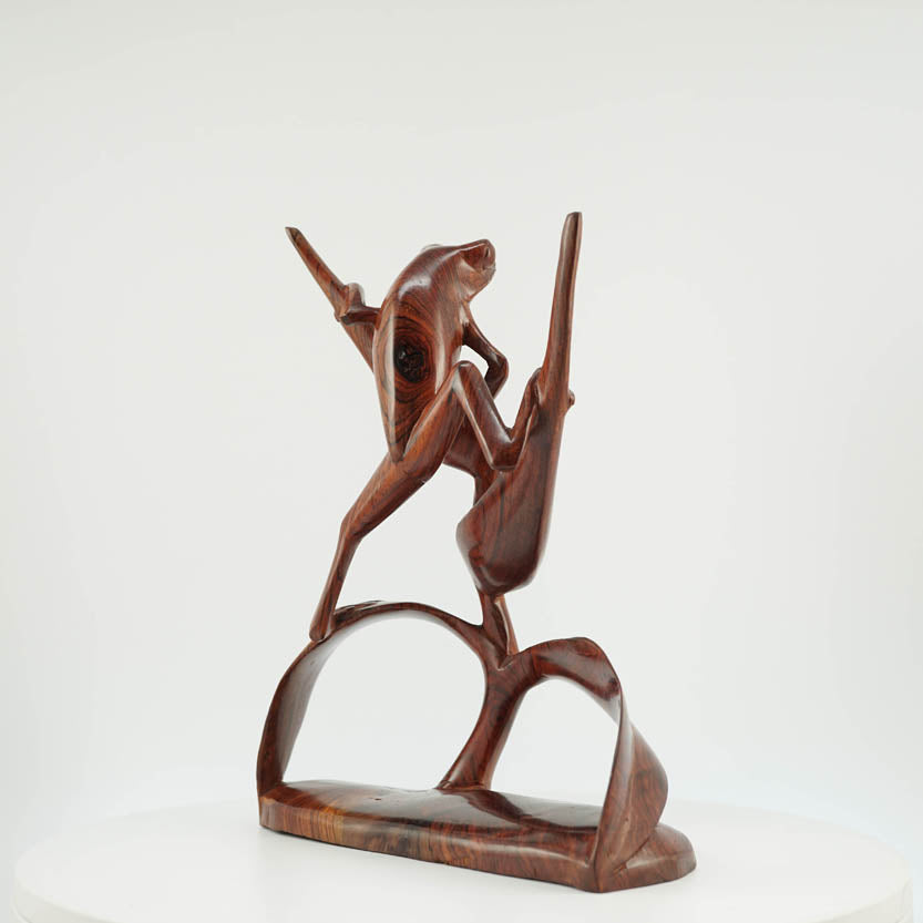 Rana de Cocobolo - Reprosa Panamá