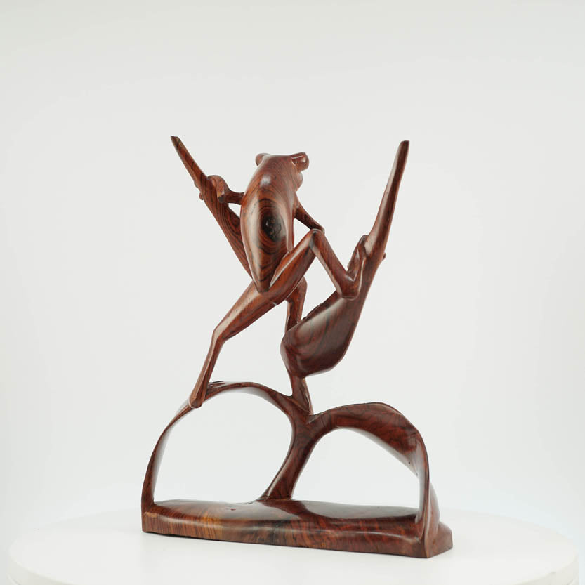 Rana de Cocobolo - Reprosa Panamá