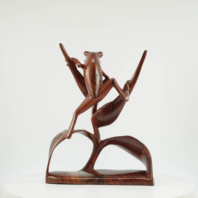 Rana de Cocobolo - Reprosa Panamá