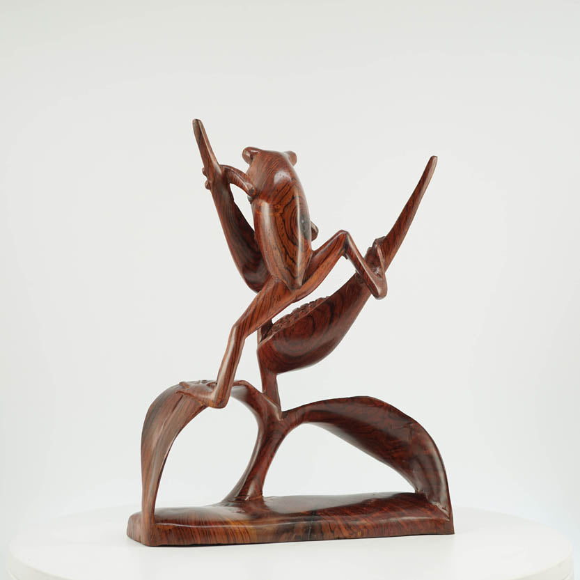 Rana de Cocobolo - Reprosa Panamá