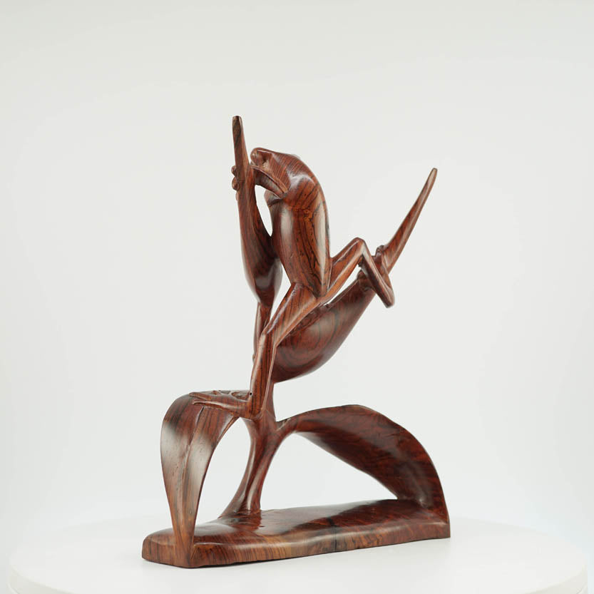 Rana de Cocobolo - Reprosa Panamá