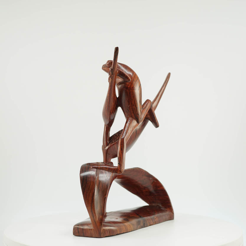 Rana de Cocobolo - Reprosa Panamá