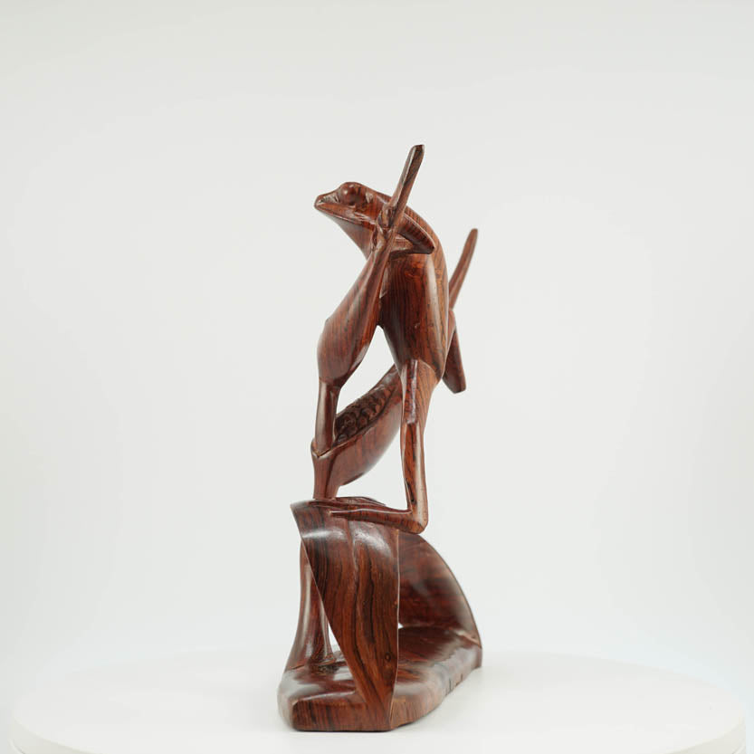 Rana de Cocobolo - Reprosa Panamá