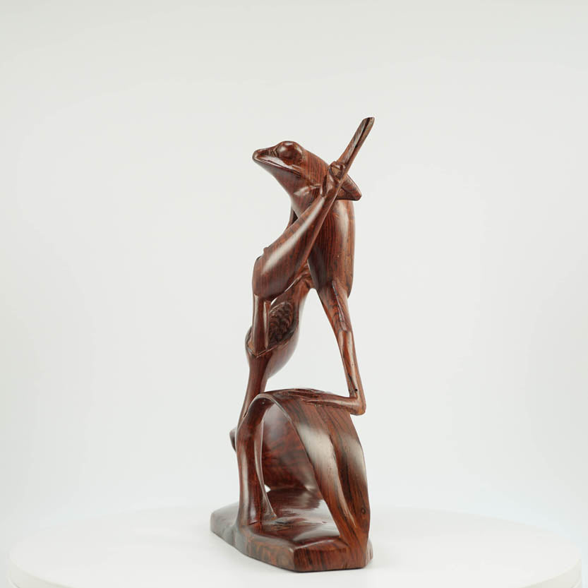 Rana de Cocobolo - Reprosa Panamá