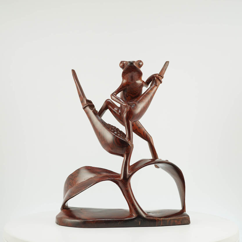 Rana de Cocobolo - Reprosa Panamá