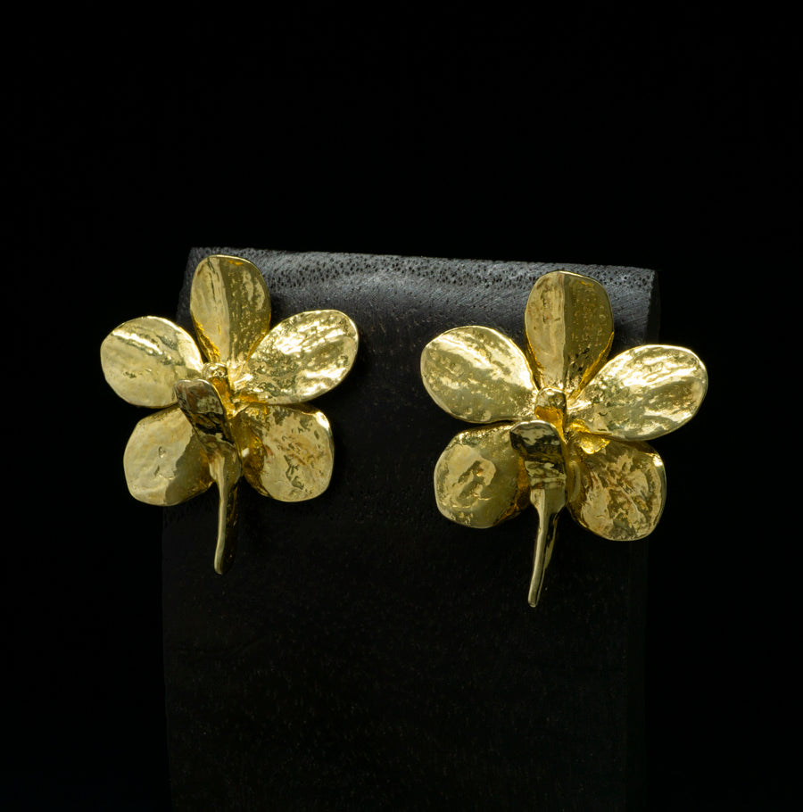 Aretes de Orquídea Aerides