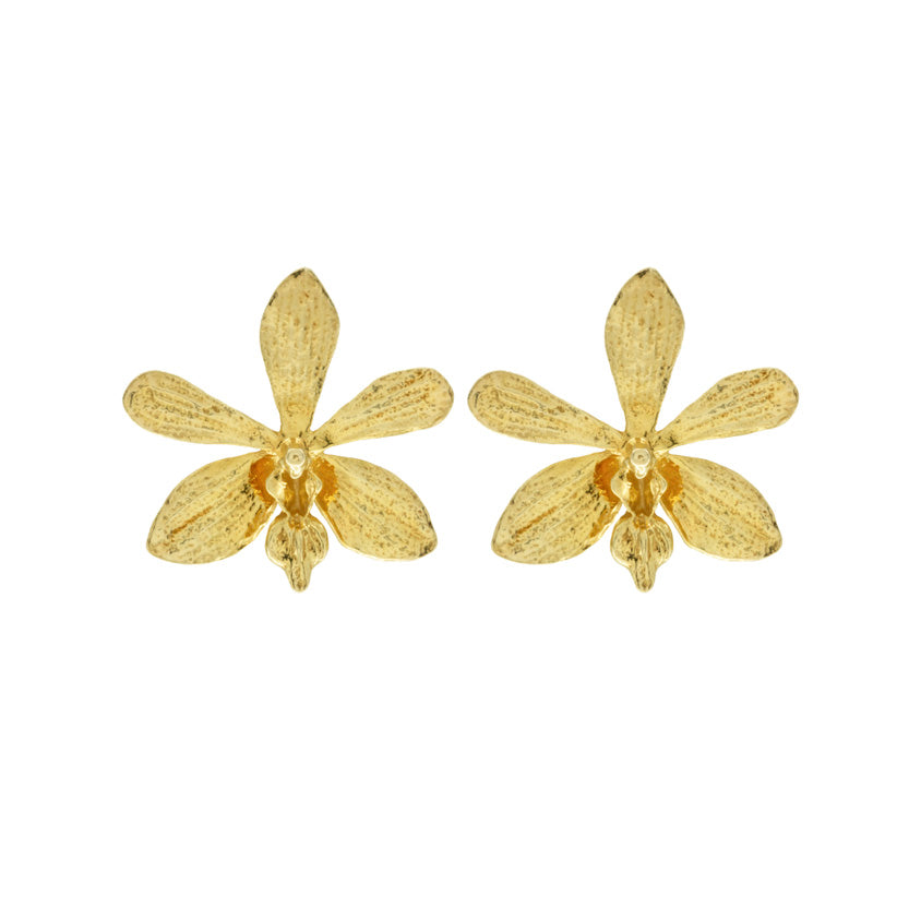 Aretes de Orquídea Ascocenda - Reprosa Panamá