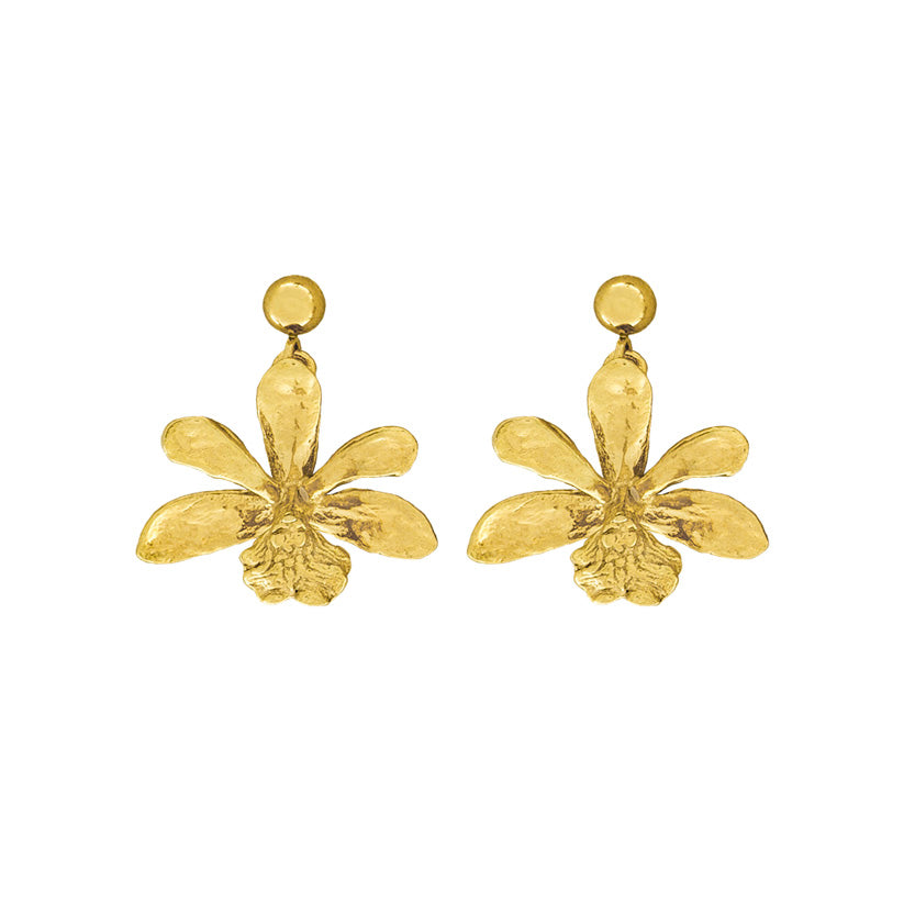 Aretes de Orquídea Epidendrum - Reprosa Panamá