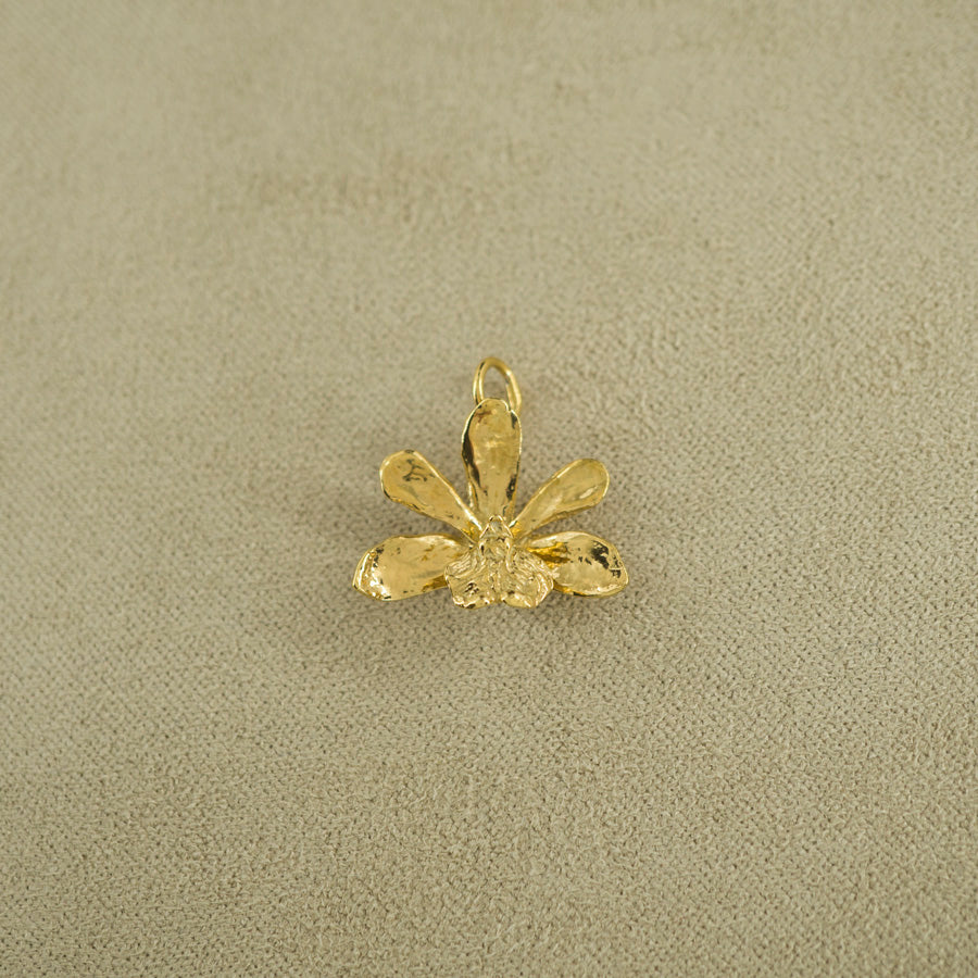 Dije de Orquídea Epidendrum - M